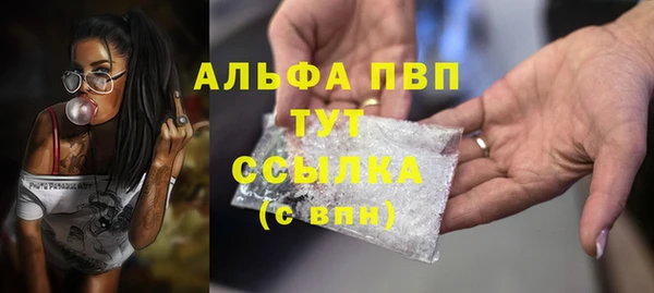 мяу мяу мука Аркадак