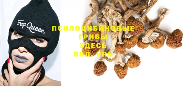 спайс Армянск