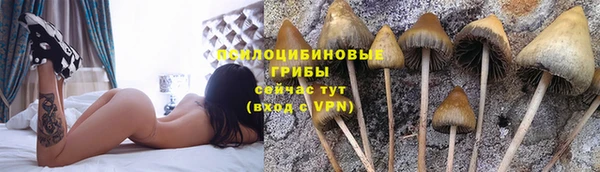 спиды Арсеньев