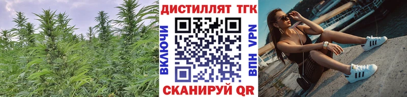 KRAKEN tor  Суворов  ТГК вейп 